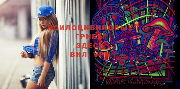 дмт Армянск