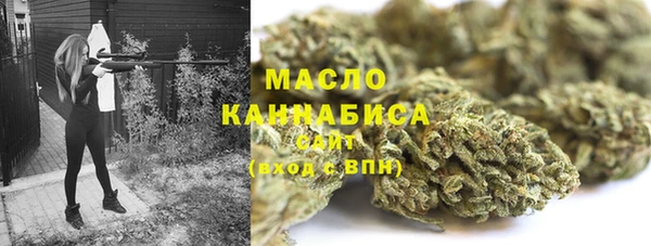 гидра Семёнов