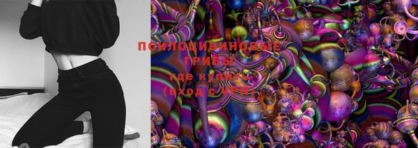 ГАЛЛЮЦИНОГЕННЫЕ ГРИБЫ Семикаракорск