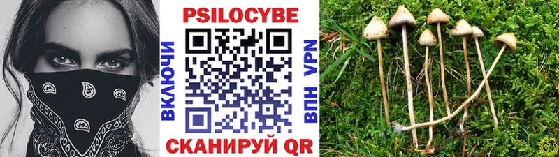 Галлюциногенные грибы MAGIC MUSHROOMS  цена наркотик  Хвалынск 